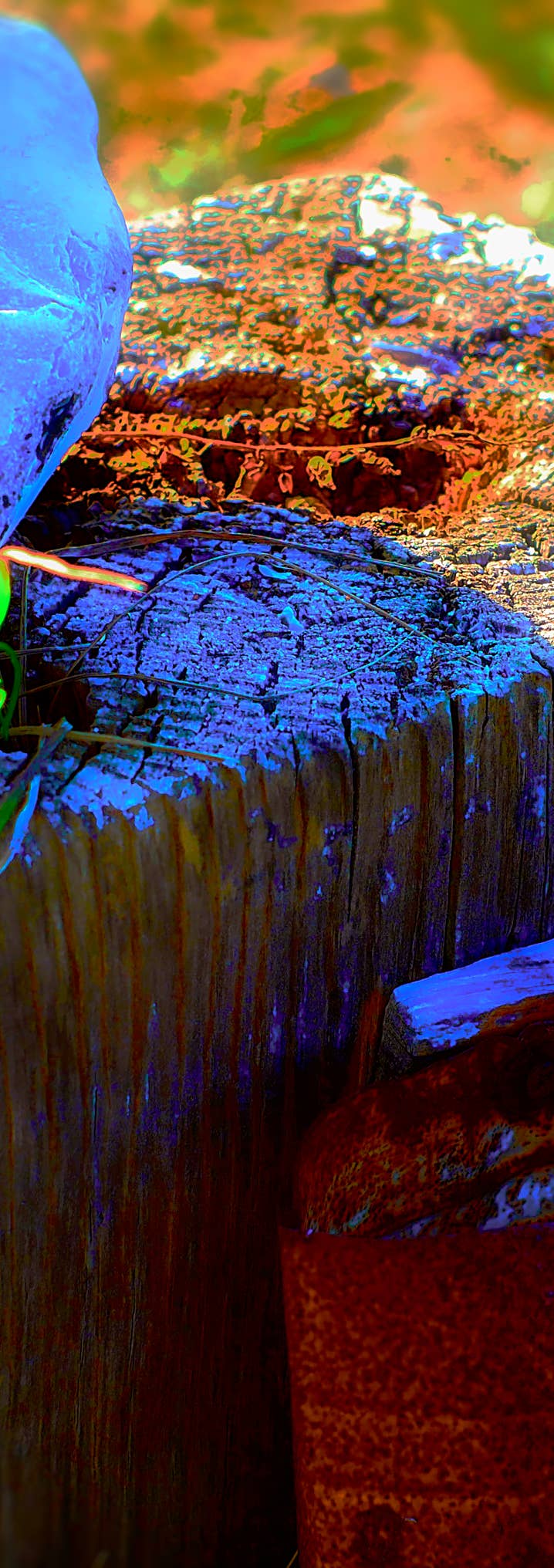 Foto von Holzstumpf mit angenagelter rostiger Blechdose als Aschenbecher